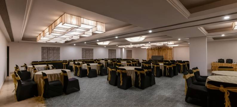 Regenta Inn Downton Raipur Hotel图片