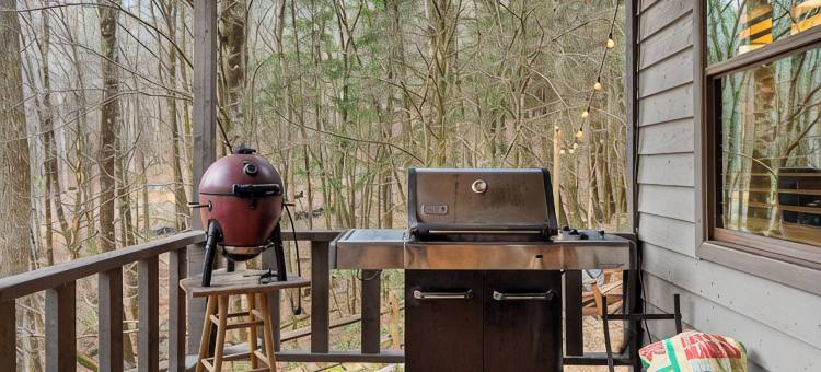 山间; 托科阿河 配有火坑的宁静木屋，可携犬(Peaceful Cabin in the Mountains; Near Toccoa River w/Firepit, Dog-Friendly)图片