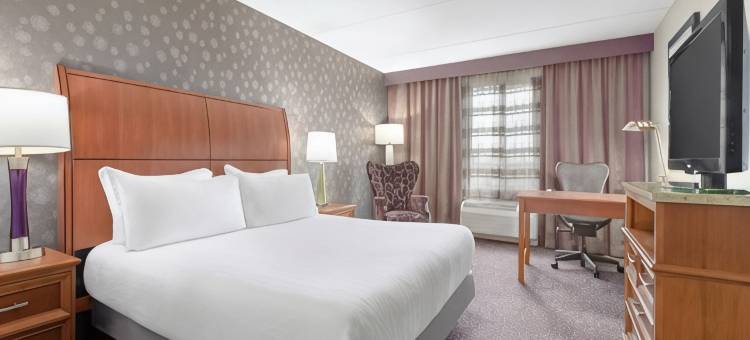 斯普林菲尔德希尔顿花园旅馆(Hilton Garden Inn Springfield, MA)图片