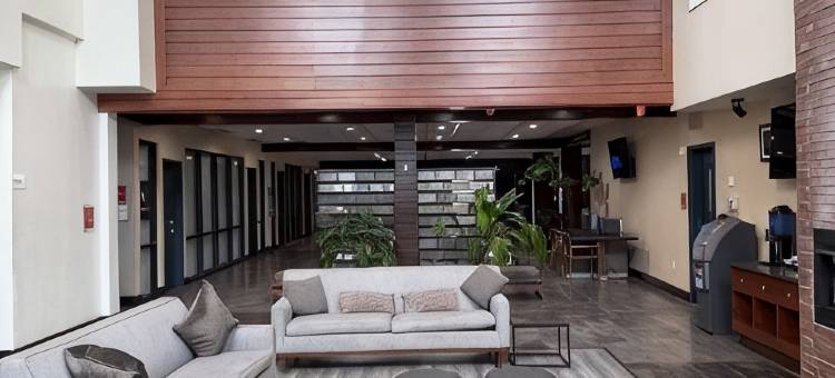Surface Boutique Hotel 威尔罗杰斯机场，餐厅和酒吧(Surface Boutique Hotel Will Rogers AIrport, Restaurant & Bar)图片