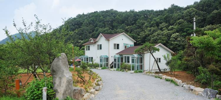 坛阳三叶草旅馆(Damyang Clover Pension)图片