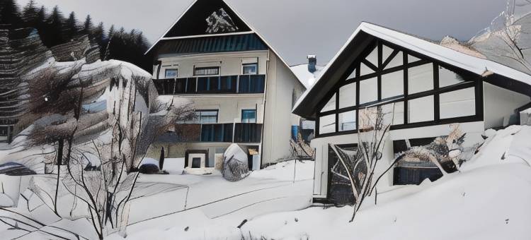 沃尔克巴赫之家旅馆(Haus Volkesbach)图片