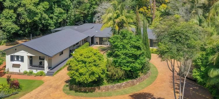 大树汽车旅馆(Tall Trees Motel Mountain Retreat)图片