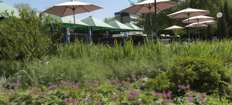 曼海姆佛力登斯广场美居酒店(Mercure Hotel Mannheim am Friedensplatz)图片