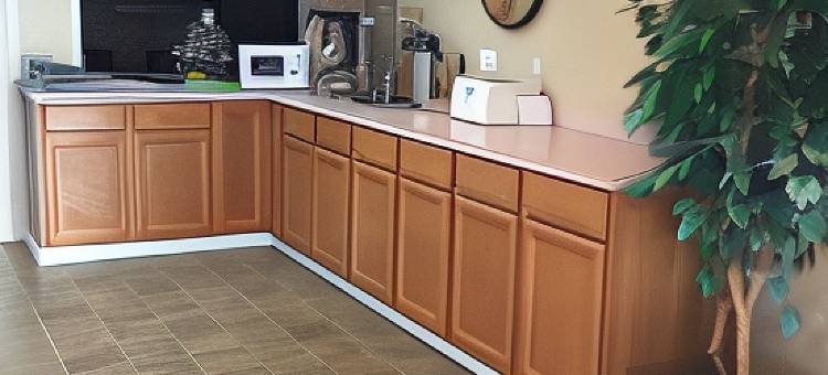 OYO 密苏里布兰森MO-165酒店(OYO Hotel Branson MO-165)图片