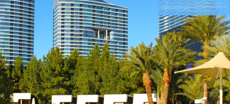 拉斯维加斯低调高贵酒店(Dignitary Discretion Las Vegas)图片