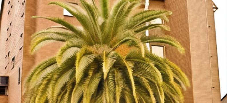 加利西亚皇冠酒店(Hotel Corona de Galicia)图片