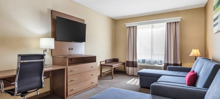 康福特套房布什洲际机场酒店(Comfort Suites Bush InterContinental Airport)图片