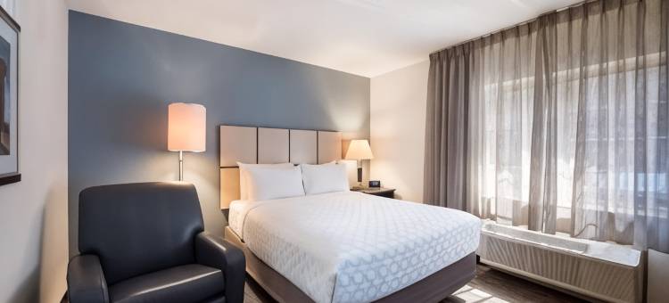 底特律特洛伊索尼斯塔简单套房酒店(Sonesta Simply Suites Detroit Troy)图片