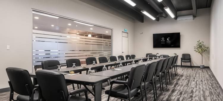 金斯顿中心舒适套房酒店(Comfort Suites Kingston Central)图片