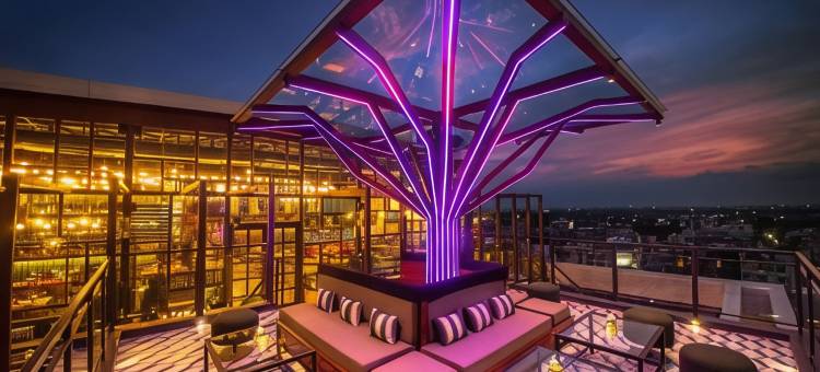 齐普尔柠檬树尊贵酒店(Lemon Tree Premier, Jaipur)图片