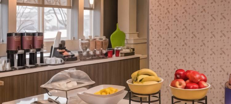 尚迪利杜勒斯南部Residence Inn 酒店(Residence Inn Chantilly Dulles South)图片