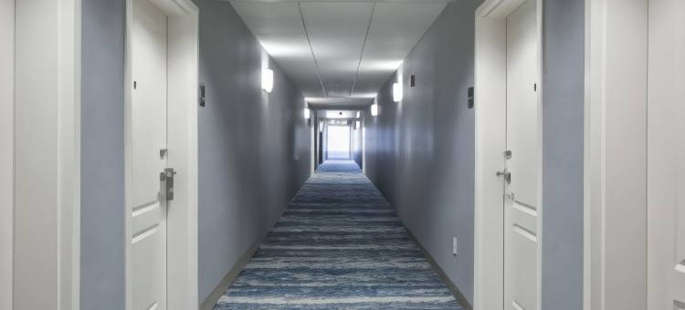 威尔明顿迈费尔Homewood Suites by Hilton(Homewood Suites by Hilton Wilmington/Mayfaire)图片