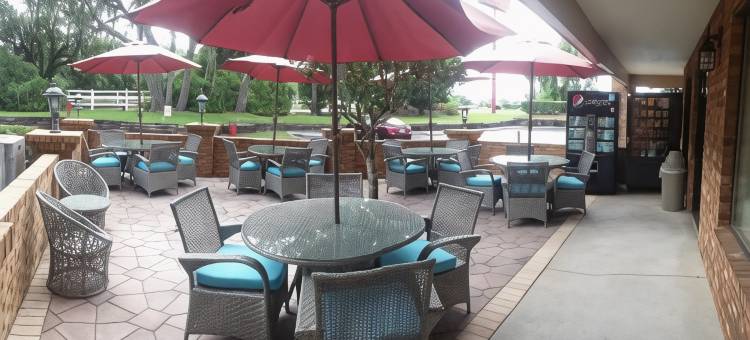 庙台-坦帕北华美达酒店(Ramada by Wyndham Temple Terrace/Tampa North)图片