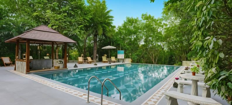 树屋度假村(The Tree House Resort)图片