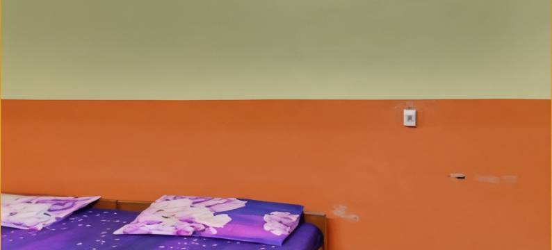 新斯里杜尔加旅馆(New Sri Durga Lodge)图片