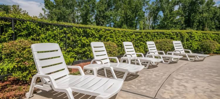 杰克逊维尔-贝梅多斯品质酒店及套房(Quality Inn & Suites Jacksonville-Baymeadows)图片