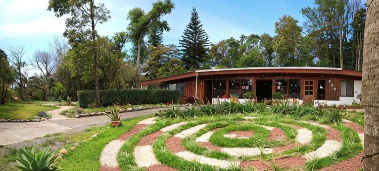 蒙特贝尔德霍利斯蒂科酒店(Hotel Holístico Monteverde)图片