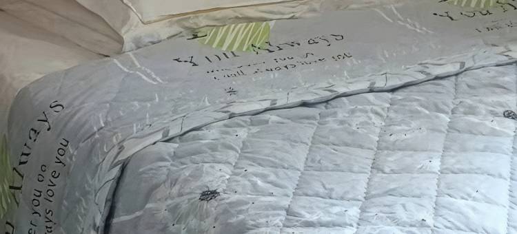 娄底鉴峰招待所图片