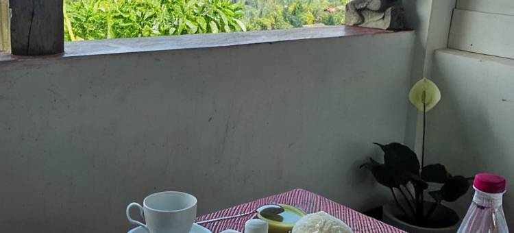 卡萨·绿茵居(Casa Selvita)图片