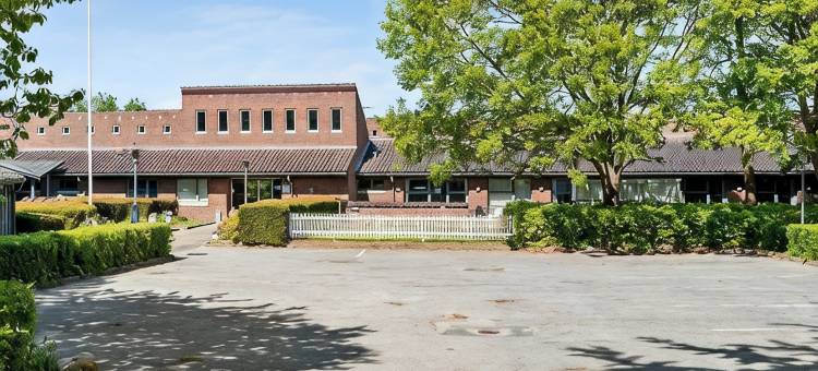 弗林特恩霍森斯(Flinten Horsens)图片