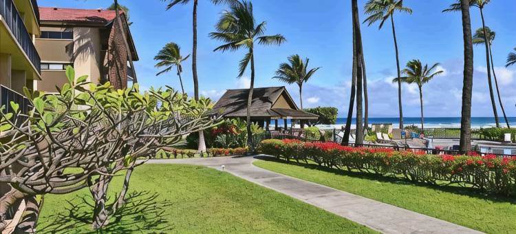 免度假村费及停车费精美海滨一层公寓配有空调.(No Resort or Parking Fees. Beautiful Ocean Front, Ground Level Condo with A/C.)图片