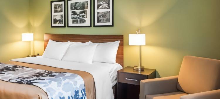 德福尼亚克泉舒眠套房酒店-克雷斯特韦(Sleep Inn & Suites Defuniak Springs - Crestview)图片