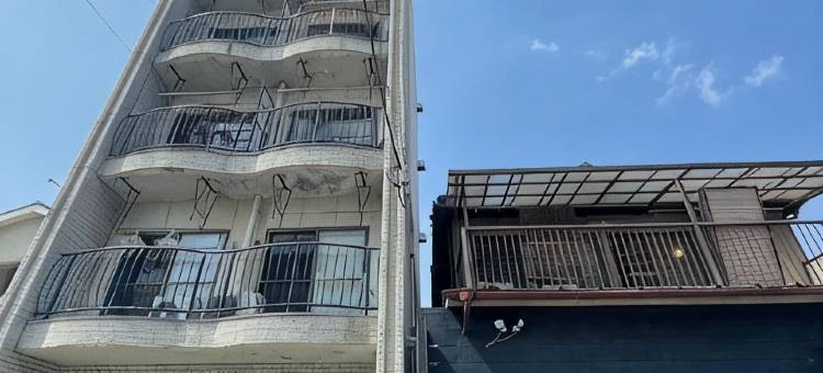 懒惰的房子旅馆(Lazy House)图片