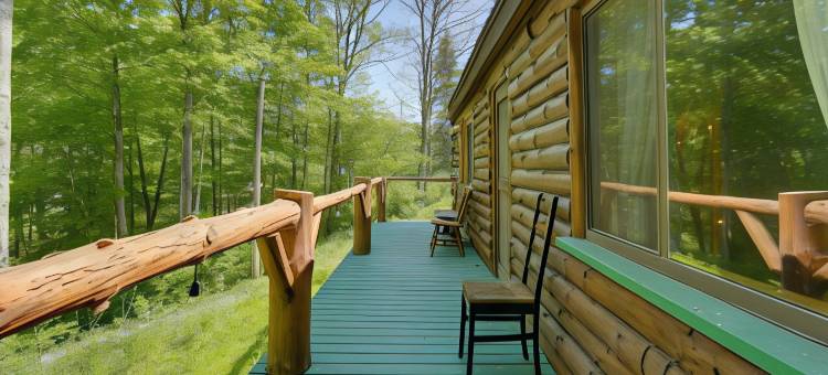 卡茨基尔山脉的私人小屋出租！(Private Cabin Rental in the Catskill Mountains!)图片