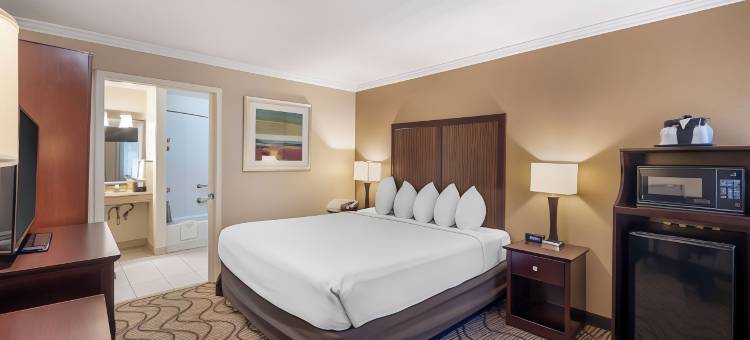 兰花贝斯特韦斯特优质套房酒店(Best Western Plus Orchid Hotel  Suites)图片