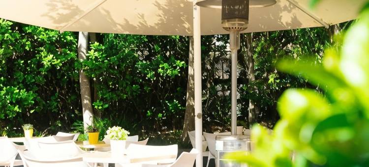 马与赛马酒店(Horse and Jockey Hotel Homebush)图片