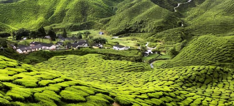 双文丹方舟酒店(Ark Hotel Serendah)图片