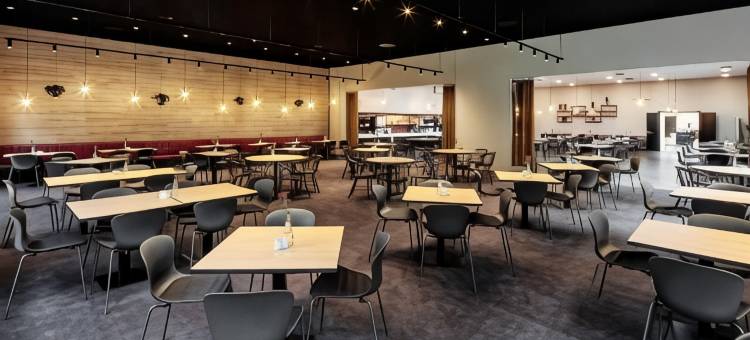 科尔丁斯堪迪克酒店(Scandic Kolding)图片