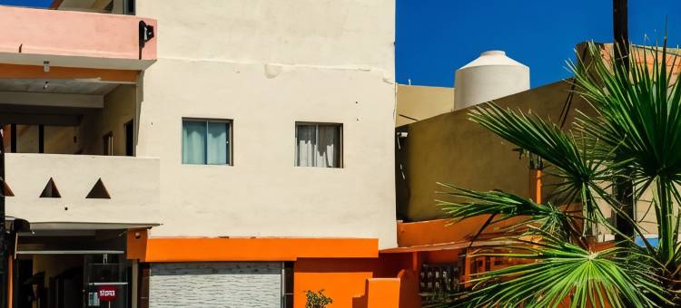 OYO酒店卡波德尔苏尔-卡波圣卢卡斯(OYO Hotel Cabo Del Sur, Cabo San Lucas)图片