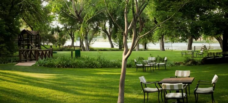 河边阳光(Riverside Sun)图片