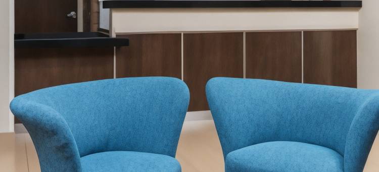 盖尔斯堡万枫酒店(Fairfield Inn & Suites Galesburg)图片