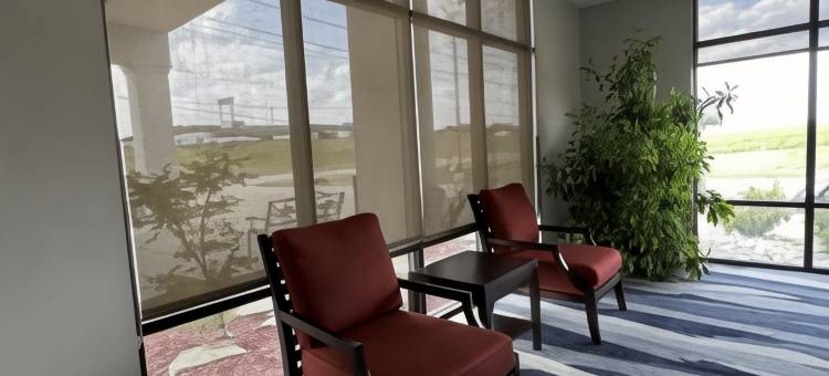 杰克逊开普吉拉多舒适套房酒店(Comfort Suites Jackson-Cape Girardeau)图片