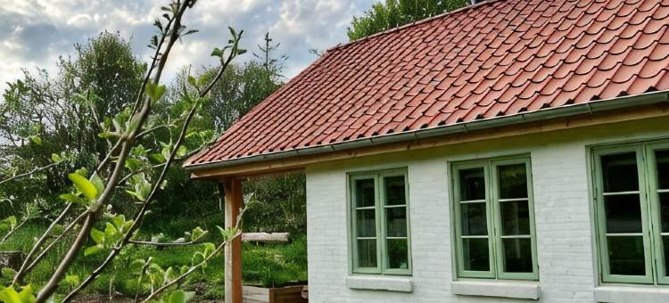 Koppes Mølle B&B - naturnær Overnatning图片