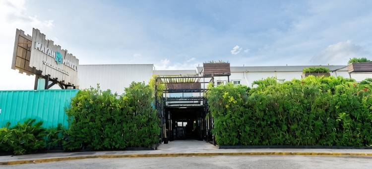 玛雅猴坎昆 - 限成人(Mayan Monkey Cancun - Social Hotel)图片