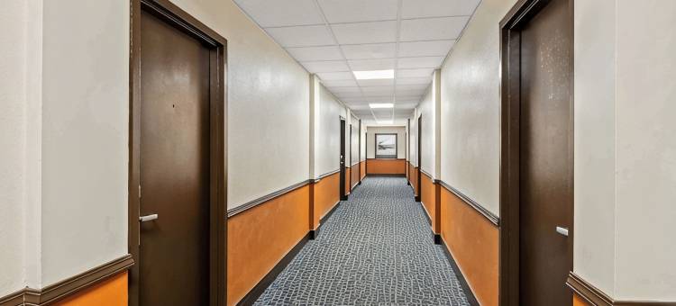 马尼斯蒂酒店(伊克诺旅馆Manistee, MI)(Econo Lodge Manistee)图片