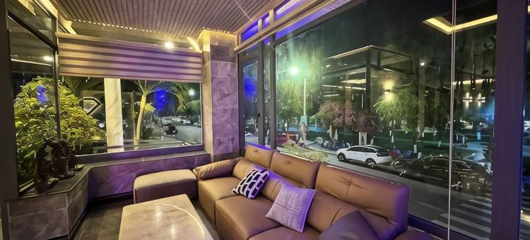 Y灵大酒店(Y Linh Hotel)图片