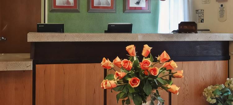 贝斯特韦斯特Plus纸谷酒店(Best Western Plus Paper Valley Hotel)图片