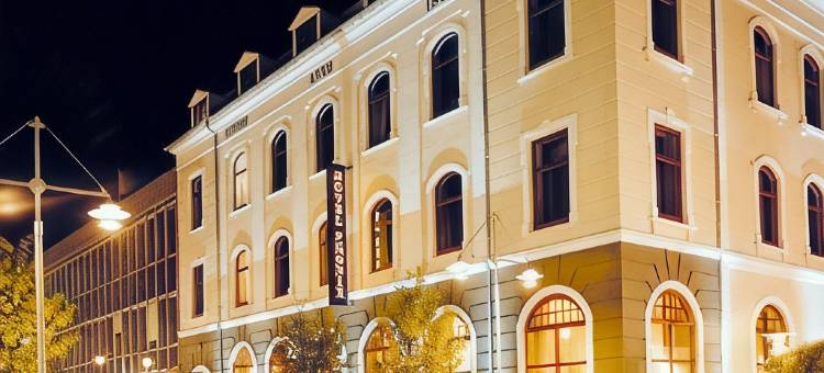 普尼克斯布朗德史莱夫酒店(Hotel Phønix Brønderslev)图片