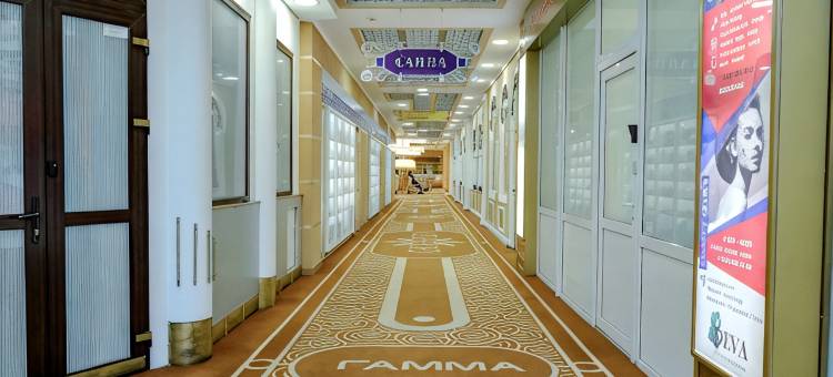 伊兹麦洛瓦伽玛酒店(Hotel Izmailovo Gamma)图片