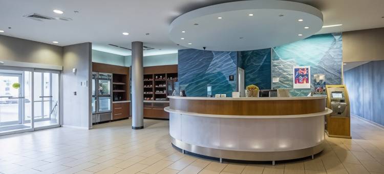 坦帕北/坦帕棕榈万豪SpringHill酒店(SpringHill Suites Tampa North/I-75 Tampa Palms)图片