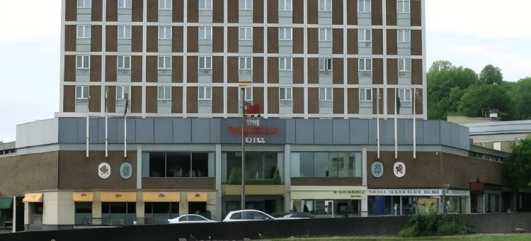 飞龙旅馆(The Dragon Hotel)图片
