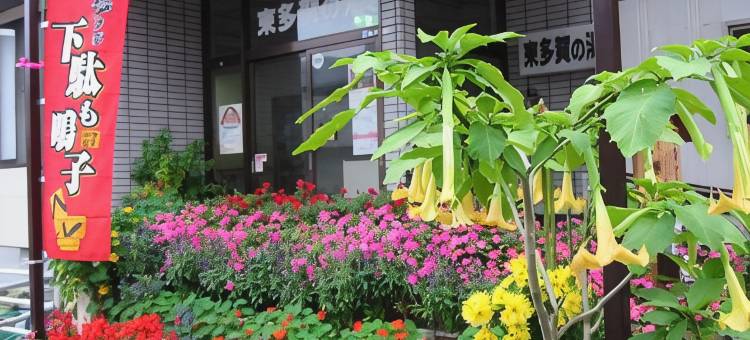 鸣子温泉乡 东多贺之汤(Higashigata No Yu)图片