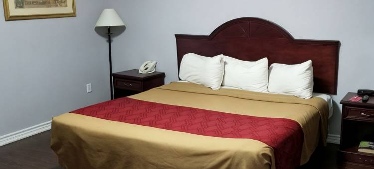 蒙特利尔机场美吟酒店(Baymont by Wyndham Montreal Airport)图片