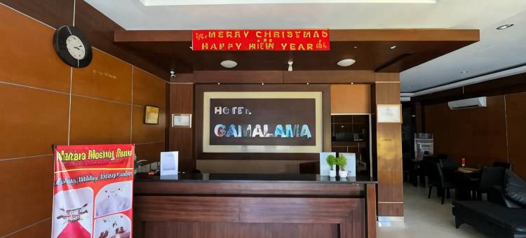 加玛拉玛酒店(Hotel Gamalama)图片