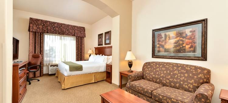 智选假日套房酒店拉斯克鲁塞斯(Holiday Inn Express & Suites LAS CRUCES by IHG)图片